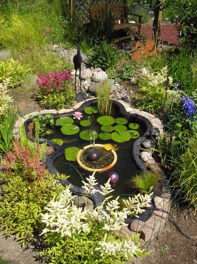 Water Garden Designs on Water Garden